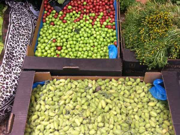 - סיורים עצמאיים חאמלה מליאנה - תרמילי החומוס