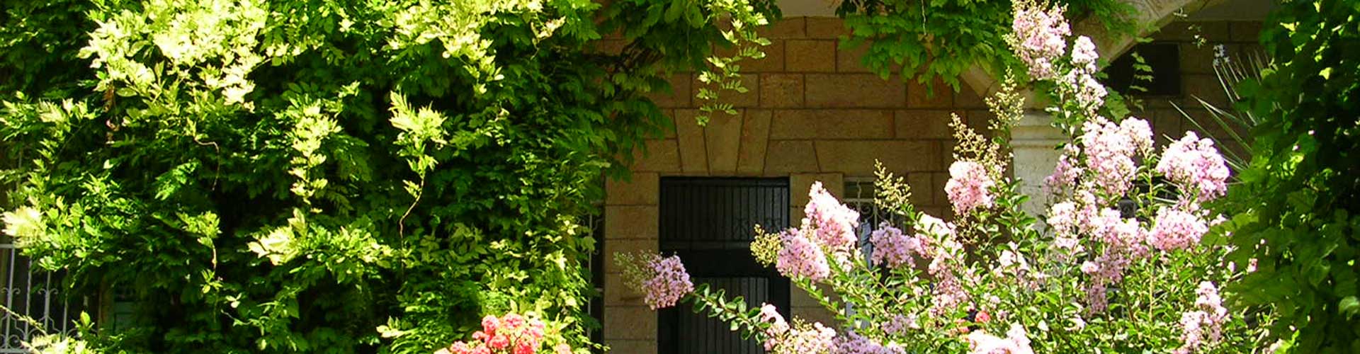 ד"ר אלדד ברין