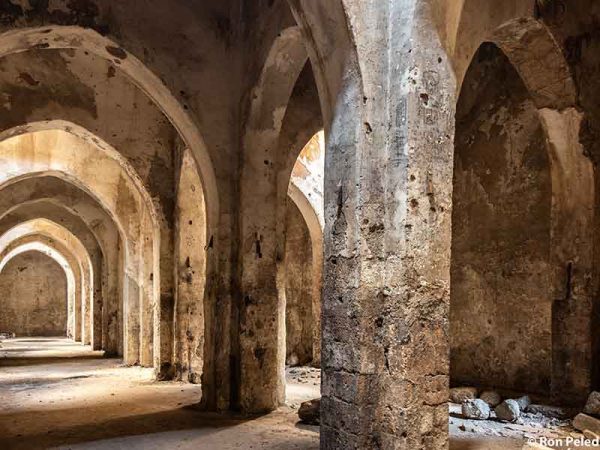 סיור עצמאי ברמלה