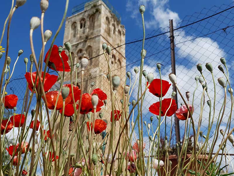 המגדל הלבן ברמלה, צילום רון פלד - סיור עצמאי ברמלה