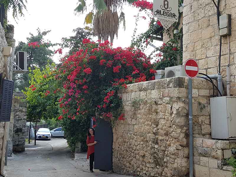 מלוםן אלגרה - סיור בעין כרם