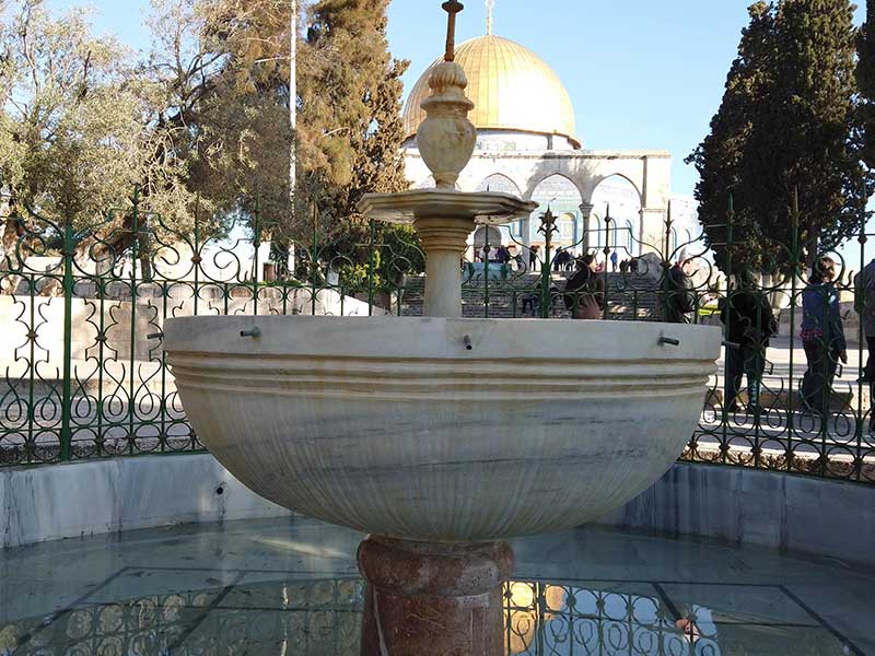 הכי קרוב לאלוהים – מגלים את הר הבית